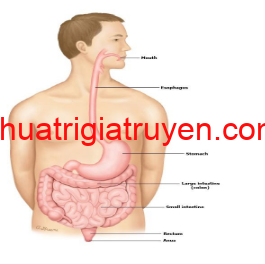 Phân có máu là biểu hiện của bệnh gì